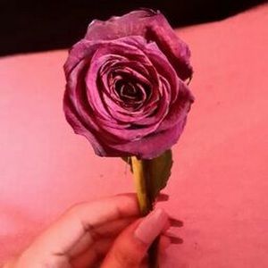 Meet your Posher, Lissette